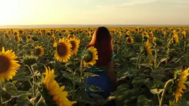 Ukrayna ayçiçeği tarlasında gülümseyen kızıl saçlı kadın. Gün batımında ayçiçeği tarlası. Mariupol, Ukrayna 'da ayçiçekli büyük sarı çiftlik arazisi