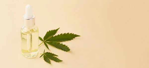 大麻の精油 大麻の緑の葉のマリファナとドロッパーボトルのCbd油抽出物 医療用マリファナ 漢方薬工場 テキストのスペース — ストック写真
