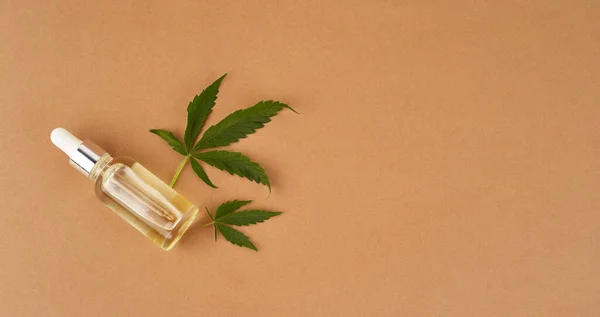 Olio Essenziale Cannabis Estratto Olio Cbd Flacone Contagocce Con Foglie — Foto Stock