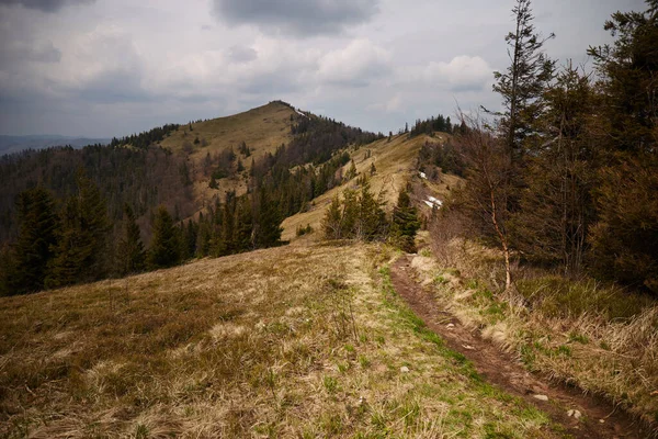 Górski Szlak Wiosna Karpatach Ukraina — Zdjęcie stockowe