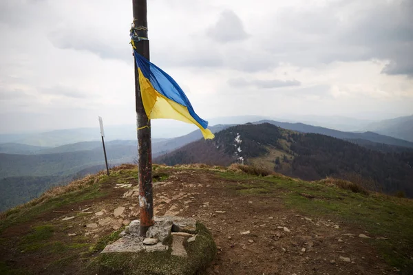 Bandeira Ucraniana Topo Montanha Primavera Nas Montanhas Dos Cárpatos Ucrânia — Fotografia de Stock