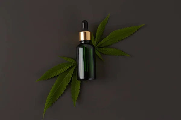 Cannabis essential oil. CBD oil extract in dropper bottle with cannabis green leaf Marijuana. Medical marijuana. Herbal medicine plant. Space for text.