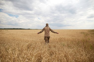Ukrainian military man in wheat field. Ukrainian wheat fields and war upcoming food crisis. Armed Forces of Ukraine