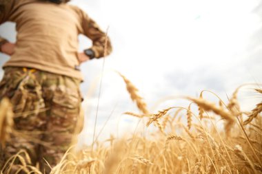 Ukrainian military man in wheat field. Ukrainian wheat fields and war upcoming food crisis. Armed Forces of Ukraine