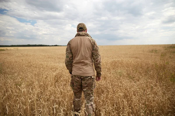 Ukrainian military man in wheat field. Ukrainian wheat fields and war upcoming food crisis. Armed Forces of Ukraine