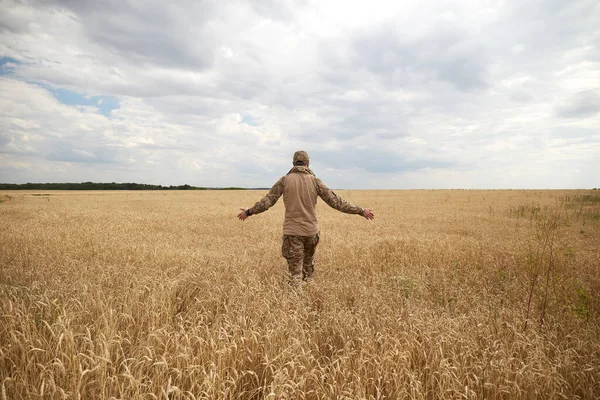 Buğday tarlasında Ukraynalı bir asker. Ukrayna buğday tarlaları ve yaklaşan gıda krizi. Ukrayna Silahlı Kuvvetleri