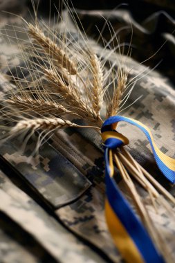 Bundle of wheat spikes with Ukrainian flag ribbon on military uniform as background. Concept of food supply crisis and global food scarcity because of war in Ukraine.