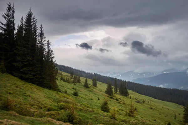 多山的山谷 多雨的日子 多雾的山岗 喀尔巴阡山脉的夏天乌克兰 — 图库照片