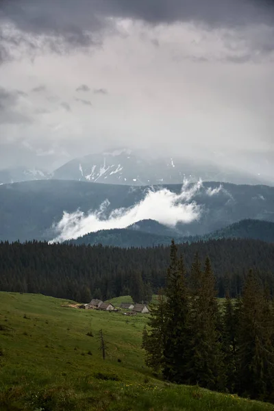 Górska Dolina Podczas Deszczowych Dni Mgliste Górskie Wzgórza Lato Karpatach — Zdjęcie stockowe