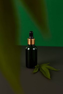 Esrar esaslı petroldür. CBD yağı, marihuana yeşili marihuanayla dolu bir şişe içinde. Tıbbi marihuana. Bitkisel ilaç fabrikası. Metin için boşluk.