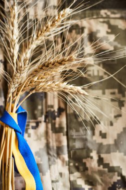Bundle of wheat spikes with Ukrainian flag ribbon on military uniform as background. Concept of food supply crisis and global food scarcity because of war in Ukraine.