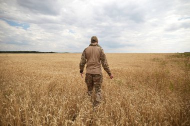 Ukrainian military man in wheat field. Ukrainian wheat fields and war upcoming food crisis. Armed Forces of Ukraine