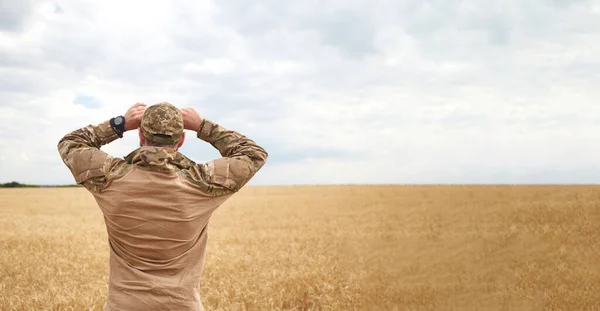 Ukrainian Military Man Wheat Field Ukrainian Wheat Fields War Upcoming — Foto de Stock