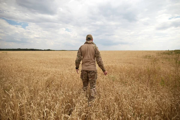 Militer Ukraina Ladang Gandum Ladang Gandum Ukraina Dan Perang Yang — Stok Foto