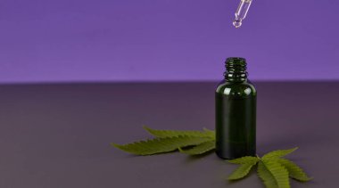 Esrar esaslı petroldür. CBD yağı, marihuana yeşili marihuanayla dolu bir şişe içinde. Tıbbi marihuana. Bitkisel ilaç fabrikası. Metin için boşluk.