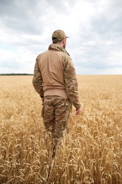 Buğday tarlasında Ukraynalı bir asker. Ukrayna buğday tarlaları ve yaklaşan gıda krizi. Ukrayna Silahlı Kuvvetleri