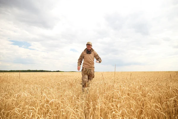Ukrainian Military Man Wheat Field Ukrainian Wheat Fields War Upcoming — Foto de Stock
