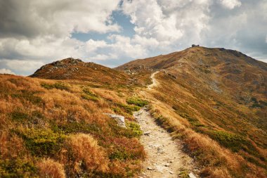 Mountain trail in Carpathian Mountains, Ukraine. Walking and hiking trails in Marmaros ridge. Rural area of carpathian mountains in autumn