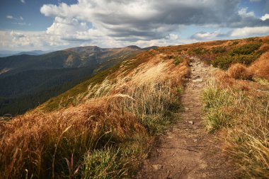 Mountain trail in Carpathian Mountains, Ukraine. Walking and hiking trails in Marmaros ridge. Rural area of carpathian mountains in autumn