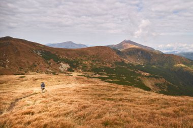 Tourist walking by hiking trail in mountain range. Carpathian Mountain, Ukraine. Walking and hiking trails in Chornohora ridge. Rural area of carpathian mountains in autumn