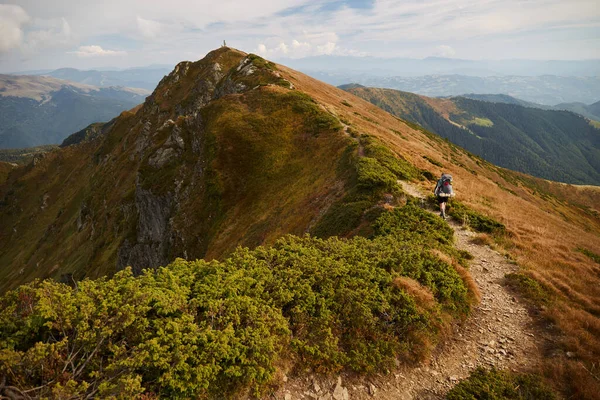 Mountain trail in Carpathian Mountains, Ukraine. Walking and hiking trails in Marmaros ridge. Rural area of carpathian mountains in autumn