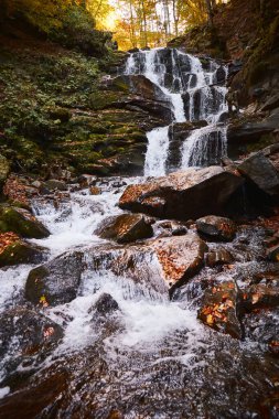 Shupit waterfall with autumn leaves. Carpathian Mountains, Ukraine. Walking and hiking trails in Borzhava ridge. Rural area of carpathian mountains in autumn