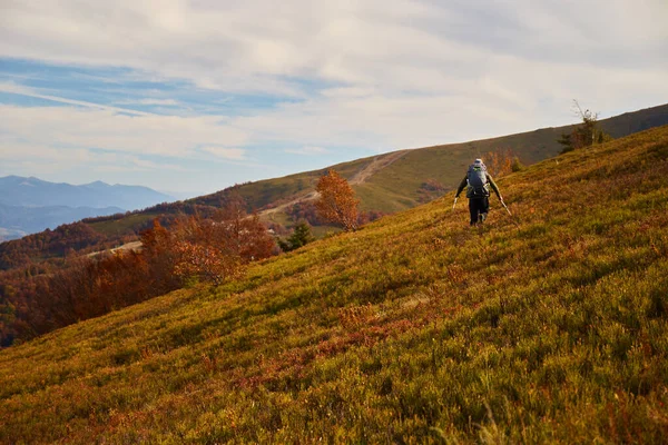Man walking by mountain trail in Carpathian Mountains, Ukraine. Walking and hiking trails in Borzhava ridge. Rural area of carpathian mountains in autumn