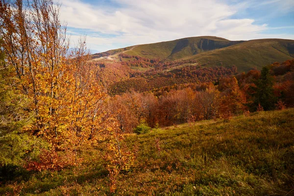 Autumn mountain range. Carpathian Mountains, Ukraine. Walking and hiking trails in Borzhava ridge. Rural area of carpathian mountains in autumn