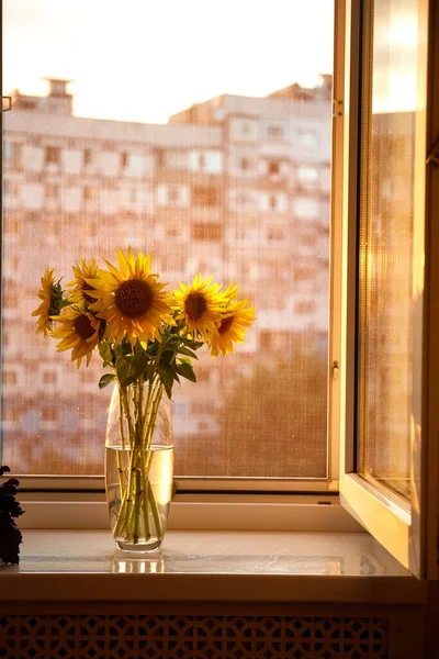 Bunch of sunflowers in vase on windowsill
