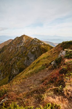 Mountain trail in Carpathian Mountains, Ukraine. Walking and hiking trails in Marmaros ridge. Rural area of carpathian mountains in autumn