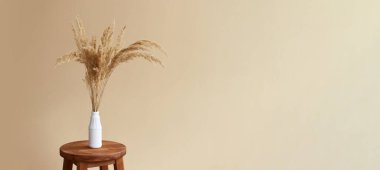 Bej arka planda vazoda pampa otu dalları. İç dekorasyon. Boşluğu kopyala