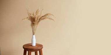 Bej arka planda vazoda pampa otu dalları. İç dekorasyon. Boşluğu kopyala