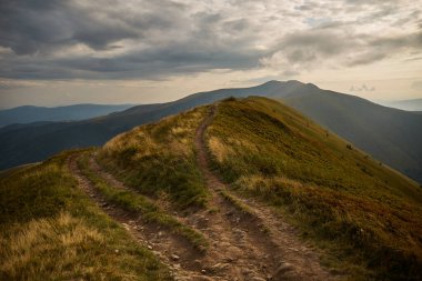 Mountain trail in Carpathian Mountains, Ukraine. Walking and hiking trails in Borzhava ridge. Rural area of carpathian mountains in autumn