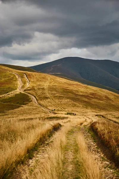 Mountain trail in Carpathian Mountains, Ukraine. Walking and hiking trails in Borzhava ridge. Rural area of carpathian mountains in autumn