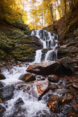 Shupit waterfall with autumn leaves. Carpathian Mountains, Ukraine. Walking and hiking trails in Borzhava ridge. Rural area of carpathian mountains in autumn