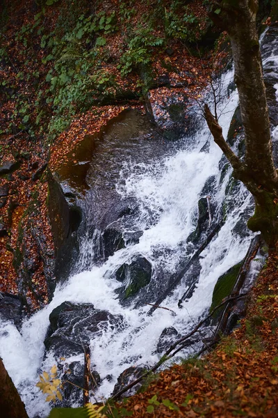 Shupit Waterfall Autumn Leaves Carpathian Mountains Ukraine Walking Hiking Trails — Stockfoto