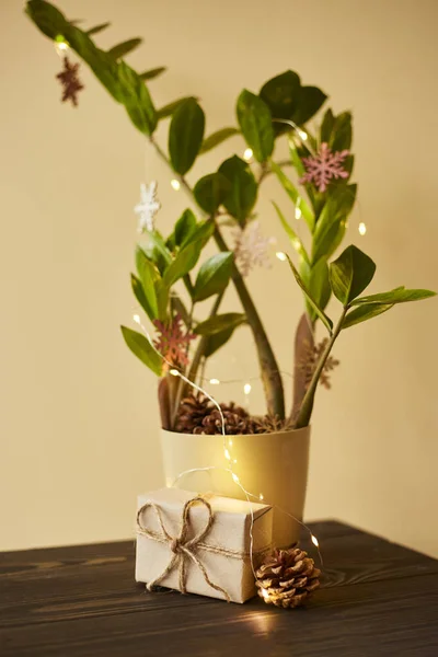 라스는 나무로 장난감으로 장식되어 크리스마스 트리는 식물로 만들어 졌습니다 상자는 — 스톡 사진