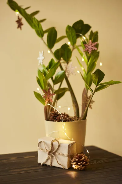 Zamioculcas Decorados Com Gerland Brinquedos Madeira Árvore Natal Feita Planta — Fotografia de Stock