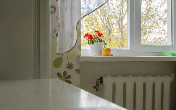 Keuken Het Appartement Met Uitzicht Het Raam Een Pot Geraniums — Stockfoto