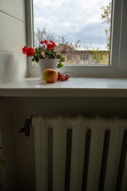  Pencereye karşı beyaz pencere eşiğinde sardunyaları olan beyaz bir tencere. Elma ve üzümler pencere eşiğinde yatıyor. Pencere pervazının altında ısıtma pili