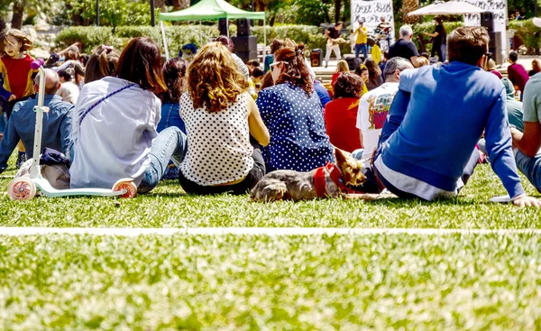 Farklı yaş ve cinsiyetlerden insanlar bir rock grubu konserinde arkadan çekiliyor. Önde küçük bir köpek var.