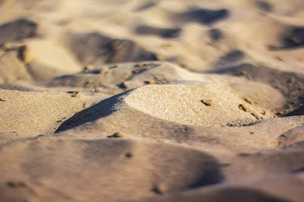 Sand on the beach. Macro. High quality photo