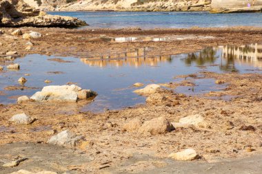Environmental problem, polluted water in the bay, reflection of houses in the water. High quality photo