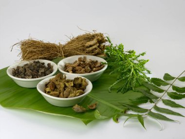 Ayurvedik şifalı bitkiler. Doğal bitkisel şifa.