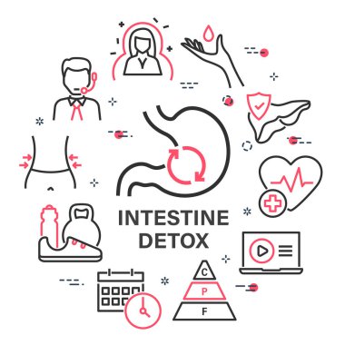 Bağırsak detoks kare vektör pankartı. Dairesel tasarımda doğrusal tıbbi simgeler