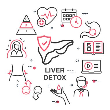 Vector banner with Liver Detox and health care icons