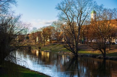 spring trees reflected in water, Danube river in Regensburg