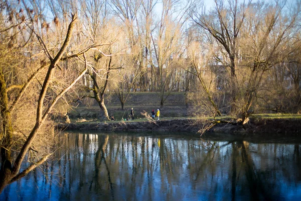 Danube river in Regensburg in the spring — Stock fotografie