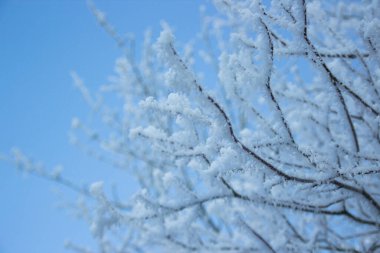 sunrise in the snow, winter in Germany