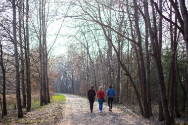 walk in the spring forest in Regensburg